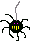 spinne